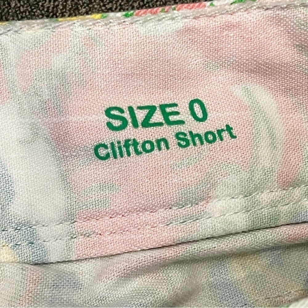 Lilly Pulitzer Clifton Shorts Pink elephant Paisley Size 0 Y2K - Picture 5 of 8